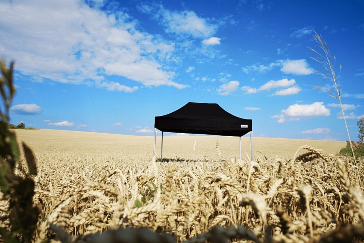 sānu sienas lapenei 3x6